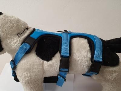 PETTORINA PRATIKO ENERGY ANTIFUGA LYCRA