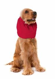 PARAORECCHIE PER CANI CAMON