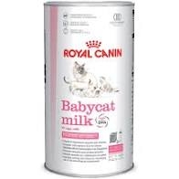 ROYAL CANIN BABYCAT MILK Gatti