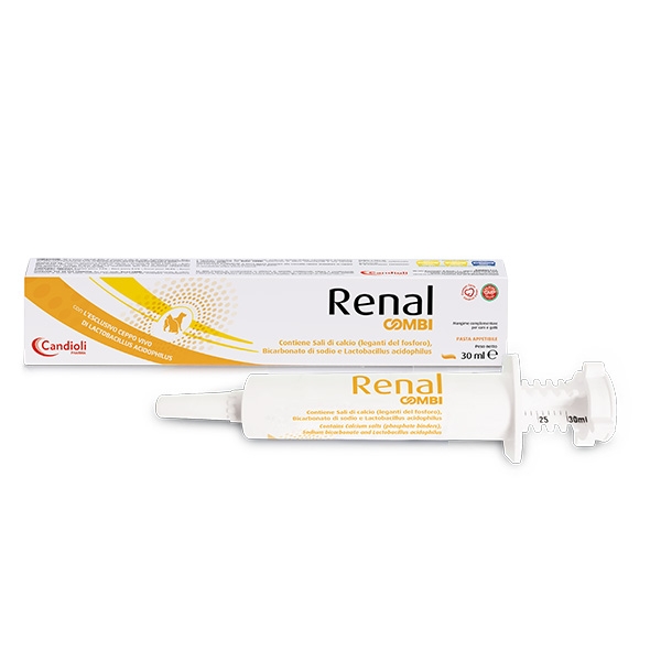 RENAL COMBI PASTA