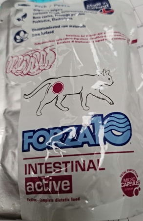 FORZA 10 INTESTINAL  ACTIVE Gatti