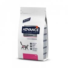 ADVANCE DIET CAT URINARY Gatti