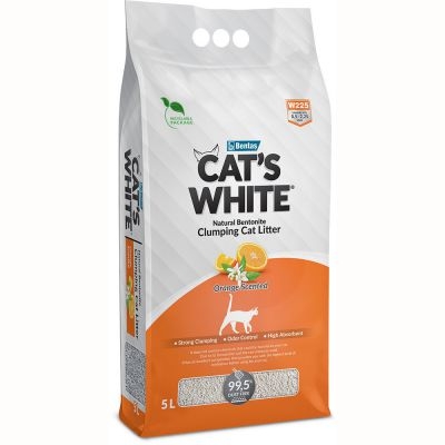 CAT'S WHITE LETTIERA ORANGE Gatti