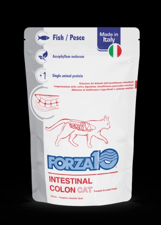 FORZA 10 INTESTINAL COLON GATTO BUSTINA Gatti