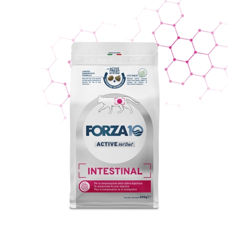 FORZA 10 ACTIVE VET DIET INTESTINAL GATTO ADULTO Gatti