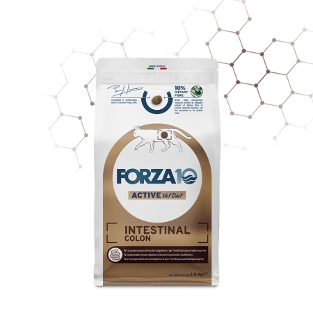 FORZA 10 ACTIVE VET DIET INTESTINAL COLON GATTO ADULTO Gatti