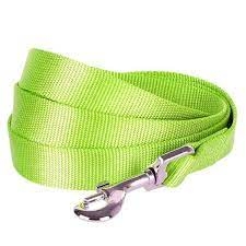 GUINZAGLIO LAISSE NYLON VERDE