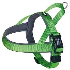 NOBBY PETTORINA CLASSIC PRENO