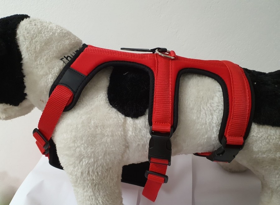 PETTORINA PRATIKO ENERGY ANTIFUGA LYCRA