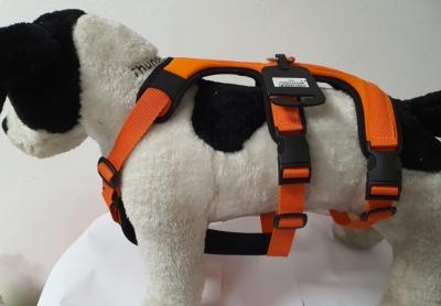PETTORINA PRATIKO ENERGY ANTIFUGA LYCRA