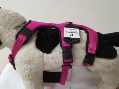 PETTORINA PRATIKO ENERGY ANTIFUGA LYCRA
