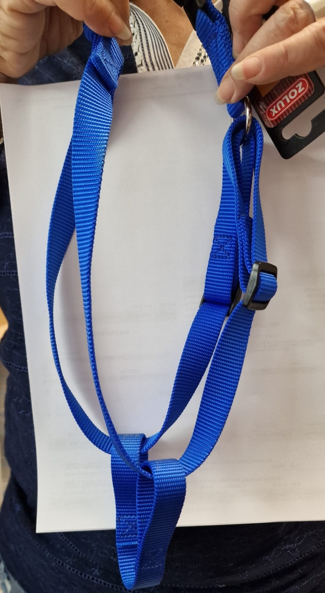 PETTORINA PER CANI HAR NYL ML 40-60 CM BLU