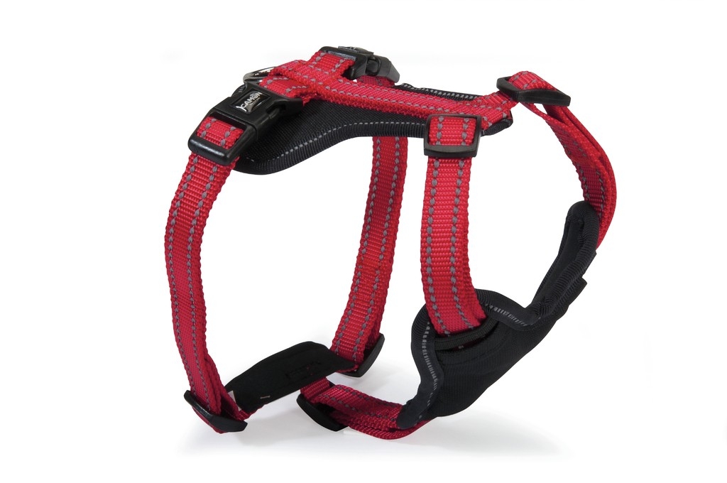 CAMON PETTORINA NEOPRENE 4 REGOLAZIONI REFLEX ROSSA M