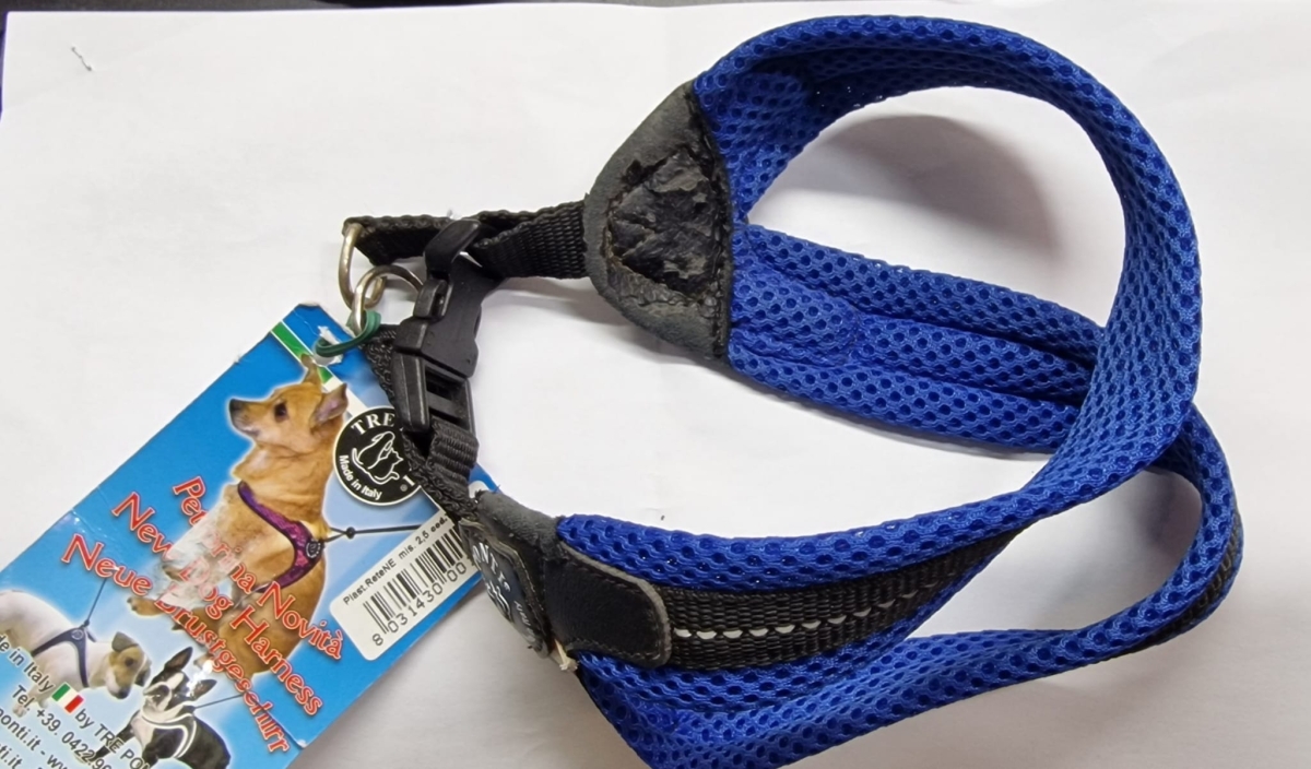 PETTORINA TRE PONTI RETE TG 2 1/2 BLU