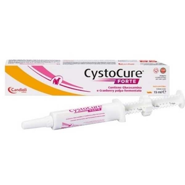 CANDIOLI CYSTOCURE FORTE PASTA