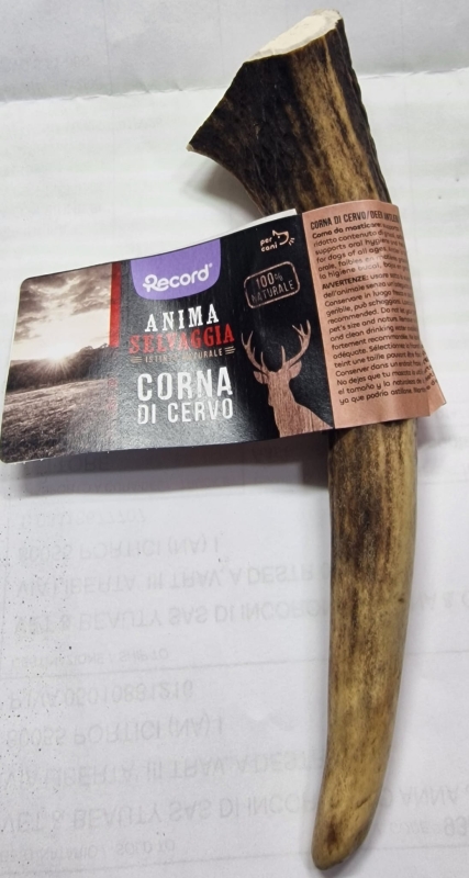 RECORD ANIMA SELVAGGIA CORNA DI CERVO
