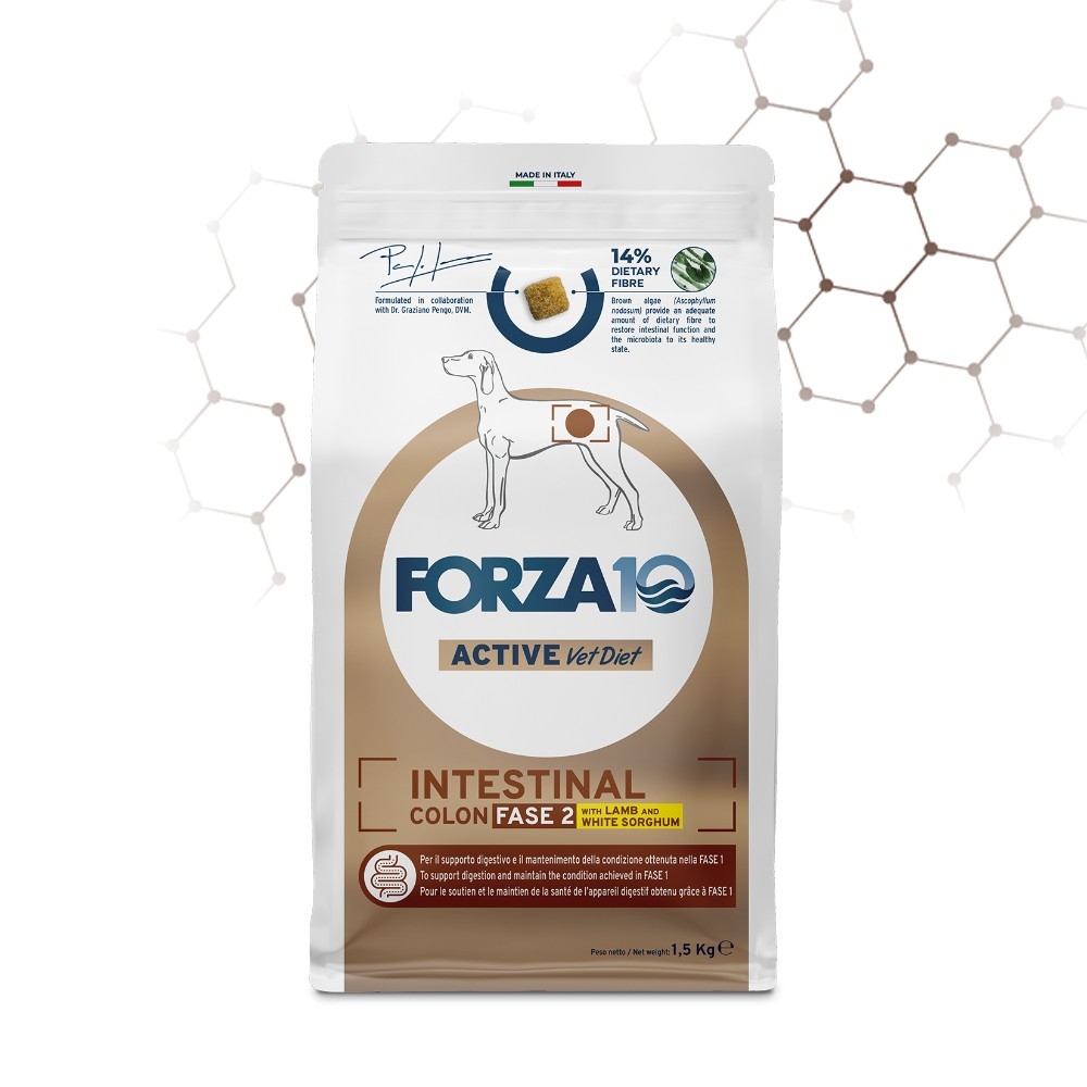 FORZA 10 INTESTINAL COLON FASE 2 AGNELLO E SORGO BIANCO