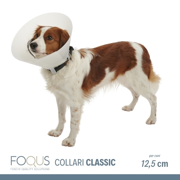 COLLARE FOQUS ELISABETTA CLASSIC