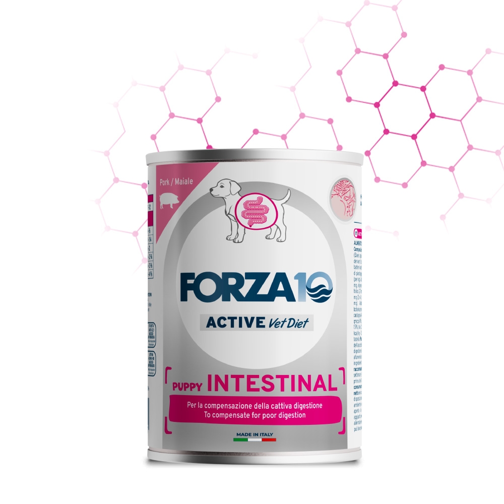 FORZA 10 ACT INTESTINAL DOG PUPPY MAIALE PATE'