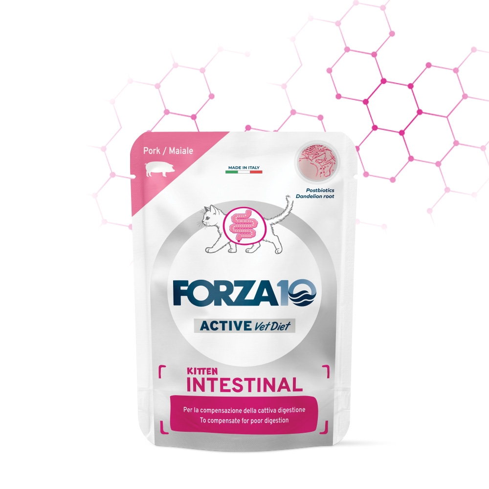 FORZA 10 ACTIVE INTESTINAL KITTEN MAIALE