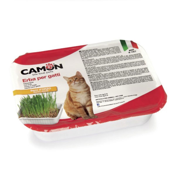 CAMON ERBA PER GATTI CON SEMI DI ORZO