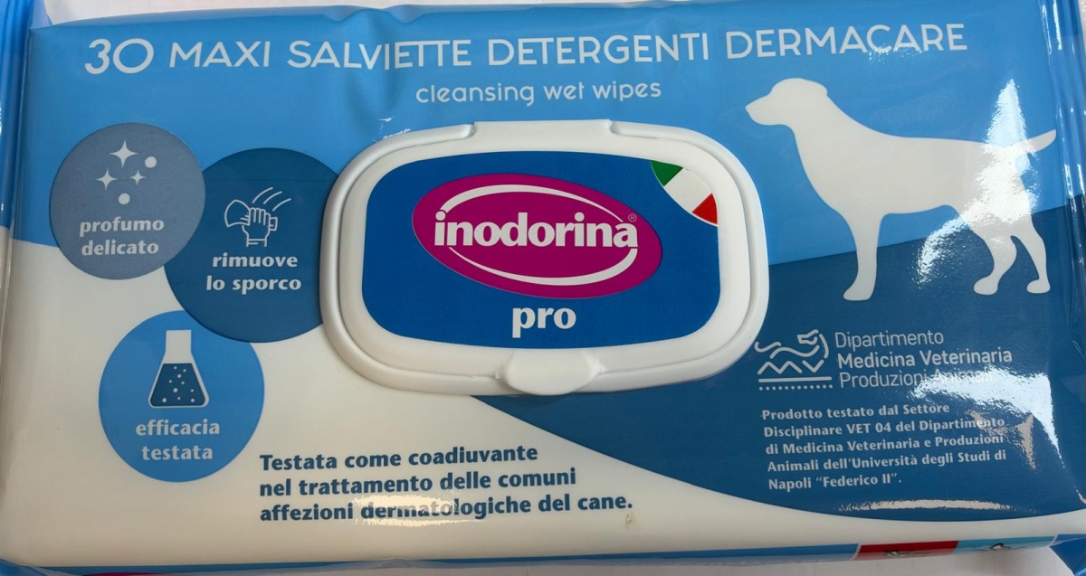 INODORINA SALVIETTE DETERGENTI DERMACARE