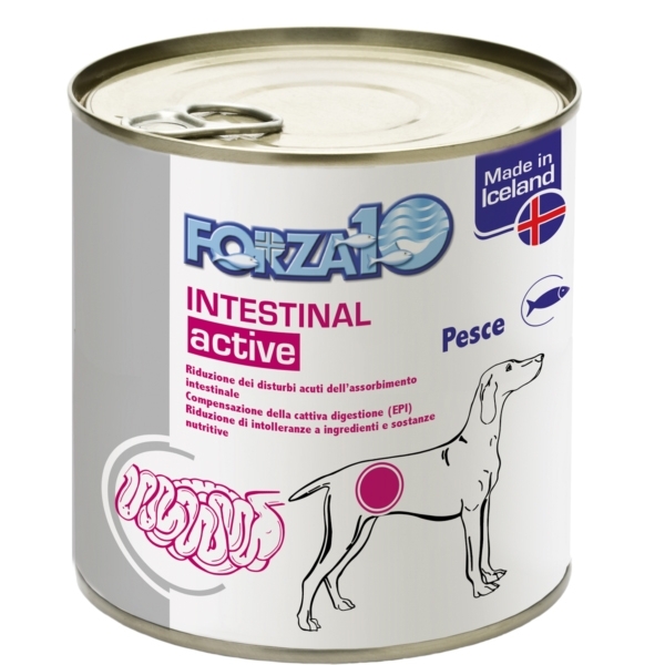 FORZA 10 ACTIWET INTESTINAL ACTIVE AL PESCE